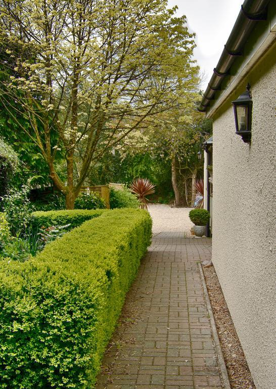 Tumbling Weir Hotel Ottery St Mary المظهر الخارجي الصورة