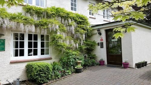 Tumbling Weir Hotel Ottery St Mary المظهر الخارجي الصورة